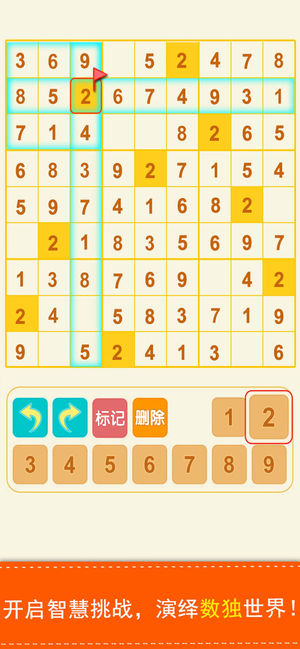 数独—经典数字趣味谜题桌游