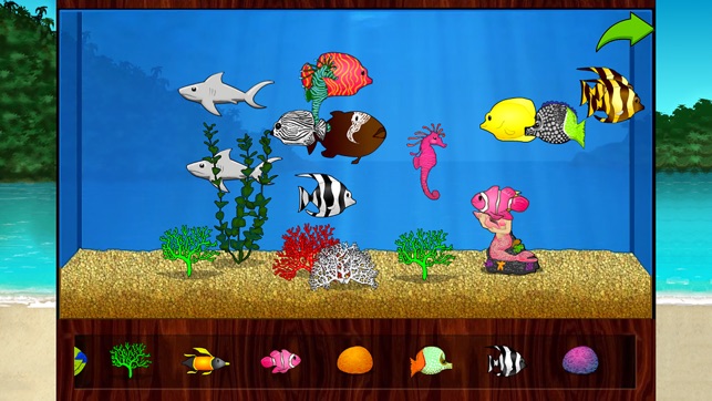 Monkey Math School Sunshine