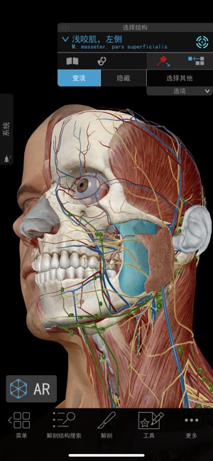 2018版人体解剖学图谱