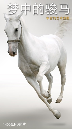 梦中的骏马——丰富的艺术宝藏：品种和类型，赛马场及比赛，照片与绘画