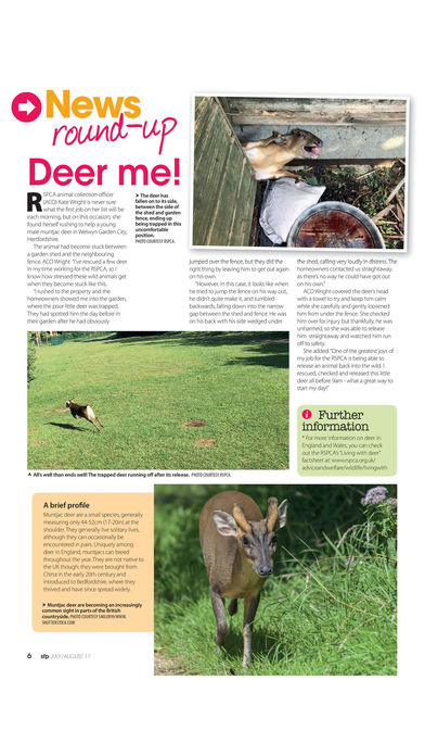 Small Furry Pets Magazine