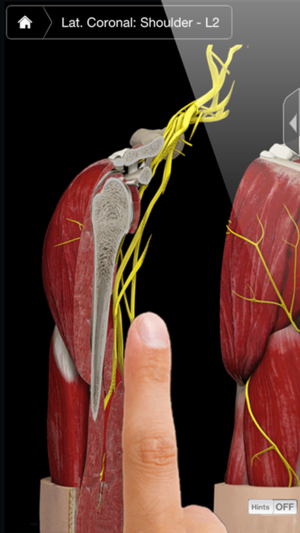 Shoulder Pro III with Animations - iPhone Edition