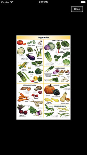 Learner's Dictionary - English