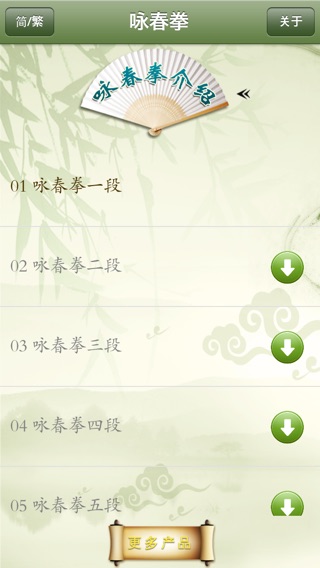 咏春拳-武术名家讲解示范