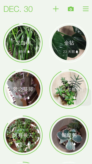 花匠 - 爱植物，浇水施肥