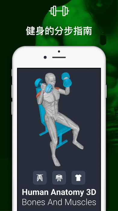 人体解剖学3D - 骨骼和肌肉