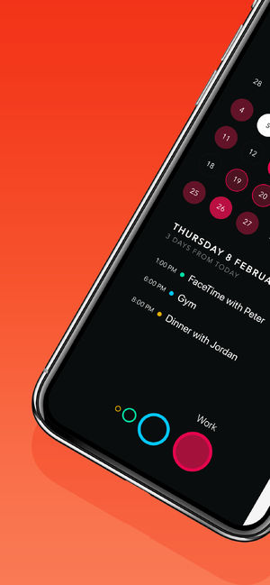 Timepage – Moleskine日历