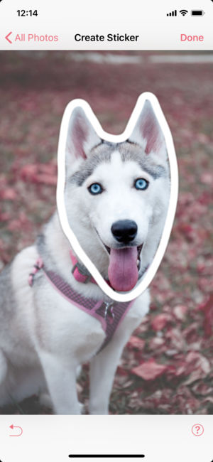 Patternator 针对图案制作者的背景和壁纸