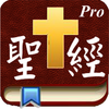 Handy Bible Chinese Pro