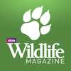 BBC Wildlife Magazine